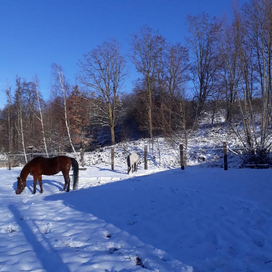 Le Gite Du Cheval Blanc Fraize Eksteriør bilde